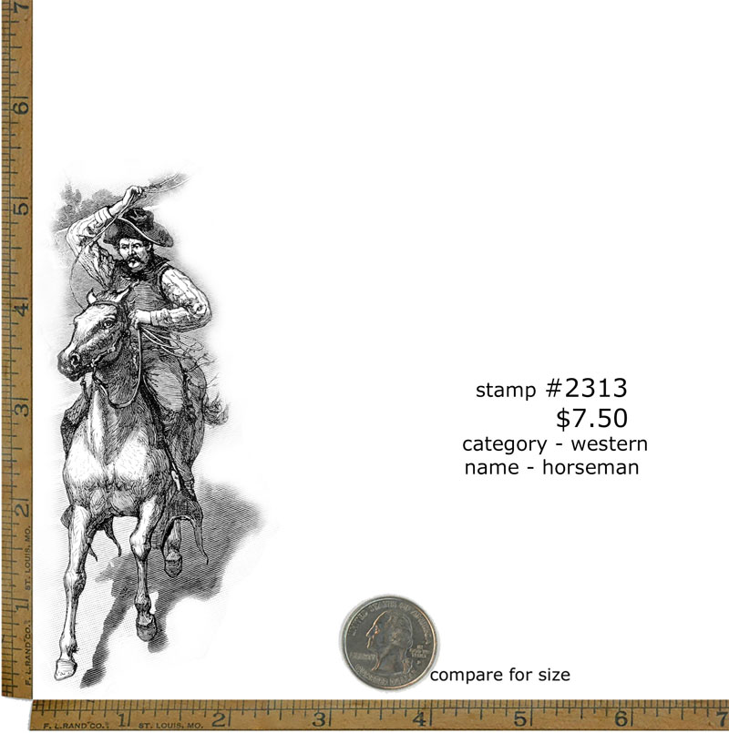 #2313 - Horseman - Western